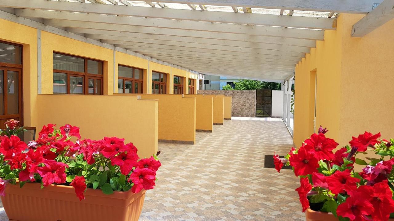 Resting House Hotell Braşov Exteriör bild